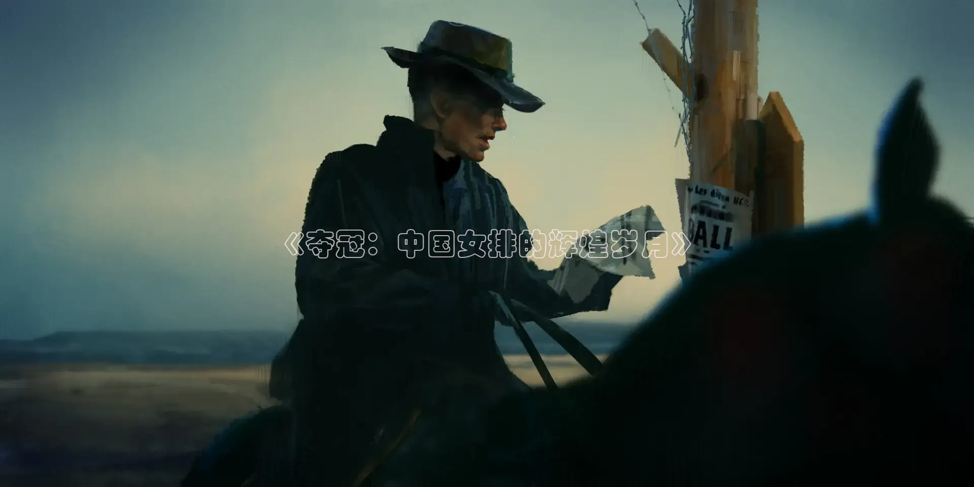 《夺冠：中国女排的辉煌岁月》